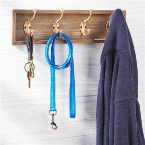 Reflective Polyester Dog Leash, Blue, Medium, 5 feet